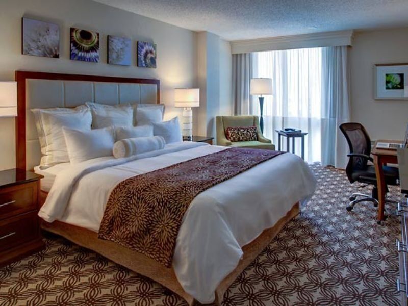 Houston Marriott North Hotell Rom bilde
